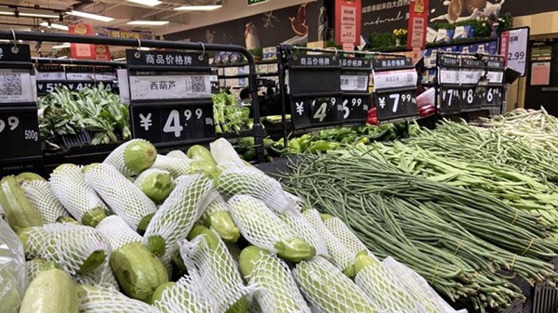 进出口代理:为企业打开国际市场的大门